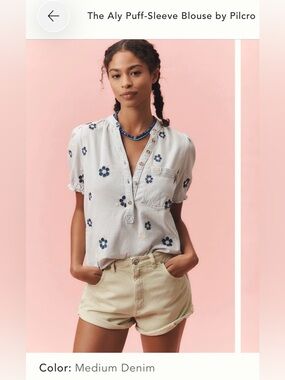 Pilcro Aly Puff Sleeve Blouse XS Embroidered Floral Anthropologie Top